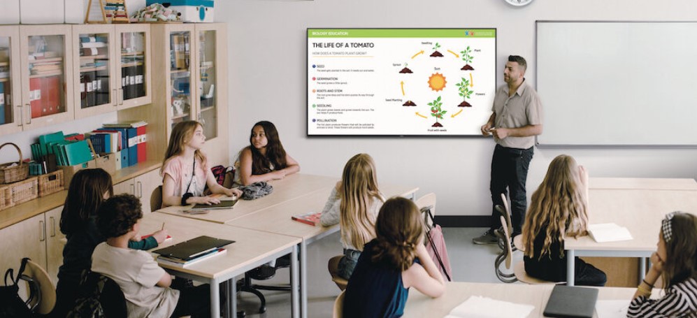 What are the advantages of smart boards in schools?